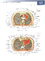 Sobotta  Atlas of Human Anatomy  Trunk, Viscera,Lower Limb Volume2 2006, page 134